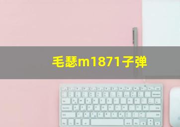 毛瑟m1871子弹