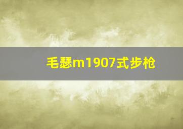 毛瑟m1907式步枪