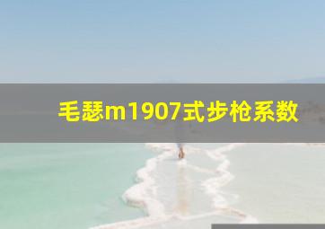 毛瑟m1907式步枪系数