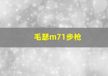 毛瑟m71步枪