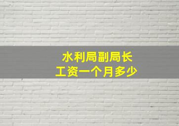 水利局副局长工资一个月多少