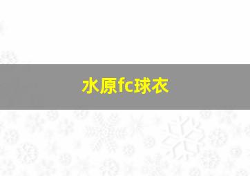 水原fc球衣