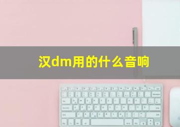 汉dm用的什么音响