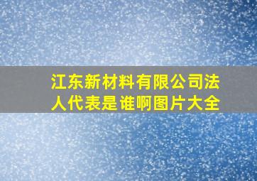 江东新材料有限公司法人代表是谁啊图片大全