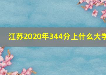 江苏2020年344分上什么大学