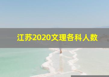 江苏2020文理各科人数