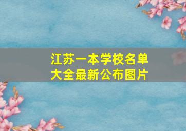 江苏一本学校名单大全最新公布图片