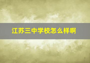 江苏三中学校怎么样啊