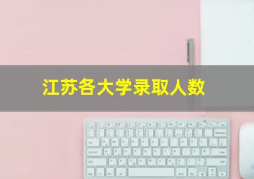 江苏各大学录取人数