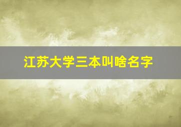 江苏大学三本叫啥名字