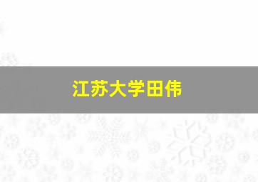 江苏大学田伟