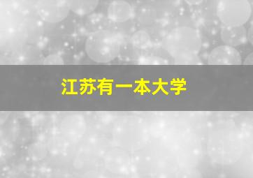 江苏有一本大学