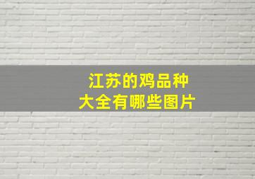 江苏的鸡品种大全有哪些图片