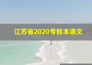 江苏省2020专转本语文