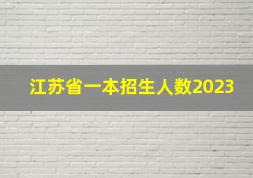 江苏省一本招生人数2023