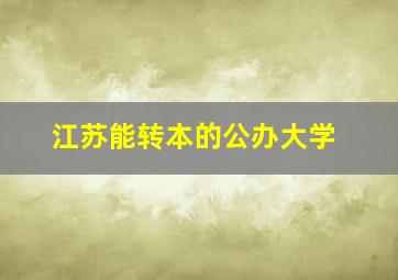 江苏能转本的公办大学