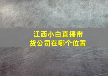 江西小白直播带货公司在哪个位置