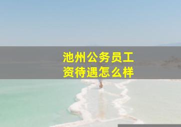 池州公务员工资待遇怎么样