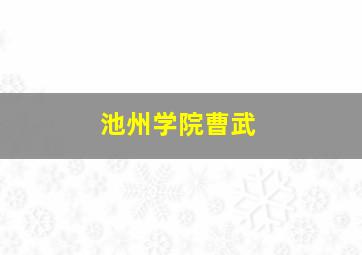 池州学院曹武