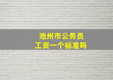 池州市公务员工资一个标准吗