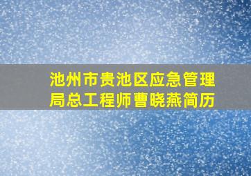 池州市贵池区应急管理局总工程师曹晓燕简历