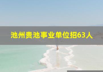 池州贵池事业单位招63人