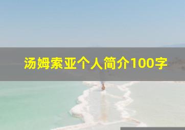 汤姆索亚个人简介100字