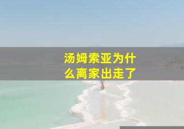 汤姆索亚为什么离家出走了