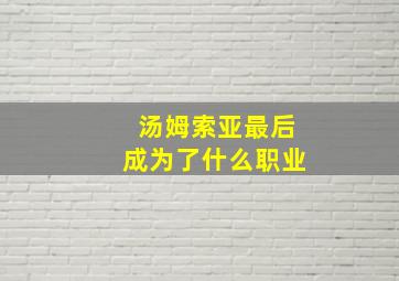 汤姆索亚最后成为了什么职业