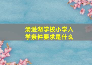 汤逊湖学校小学入学条件要求是什么