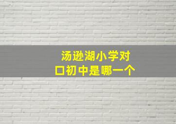 汤逊湖小学对口初中是哪一个