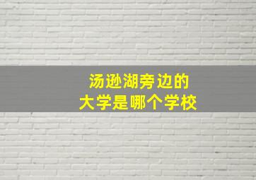 汤逊湖旁边的大学是哪个学校