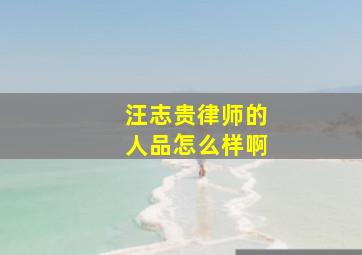 汪志贵律师的人品怎么样啊