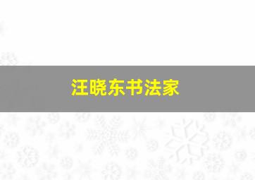 汪晓东书法家