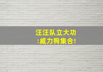 汪汪队立大功:威力狗集合!