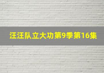 汪汪队立大功第9季第16集