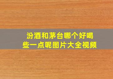 汾酒和茅台哪个好喝些一点呢图片大全视频