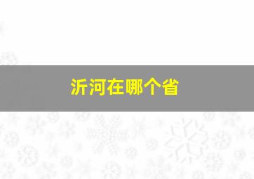 沂河在哪个省