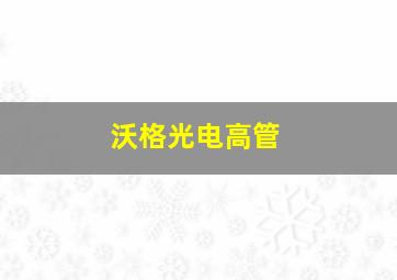 沃格光电高管