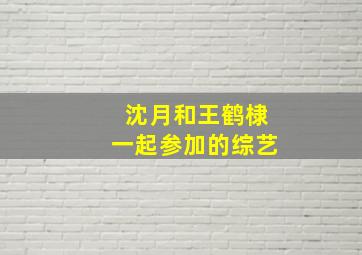 沈月和王鹤棣一起参加的综艺