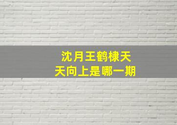 沈月王鹤棣天天向上是哪一期