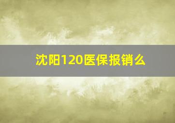 沈阳120医保报销么