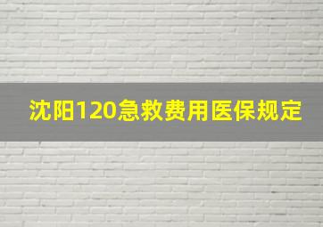 沈阳120急救费用医保规定