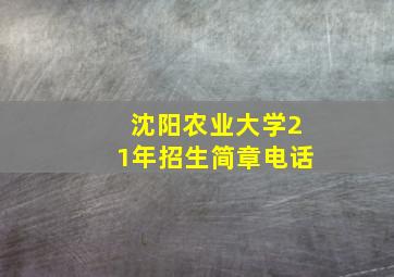 沈阳农业大学21年招生简章电话