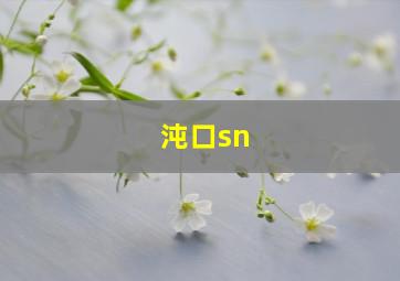 沌口sn