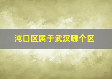 沌口区属于武汉哪个区