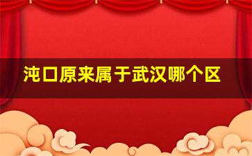 沌口原来属于武汉哪个区