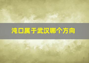 沌口属于武汉哪个方向