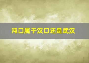 沌口属于汉口还是武汉