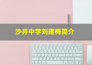 沙井中学刘建梅简介